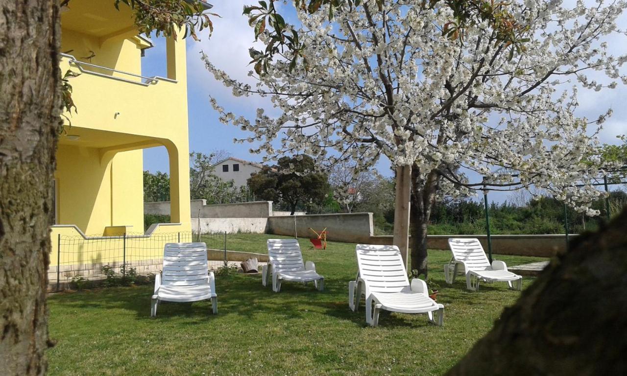 Guest House Mia Vinkuran Εξωτερικό φωτογραφία